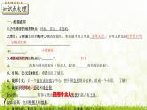 新课堂探索课件  部编版历史9年级上册 第4课  希腊城邦和亚历山大帝国