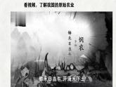 第2課 原始農(nóng)業(yè)與史前社會 七年級歷史上冊同步課件（含視頻）（統(tǒng)編版2024）