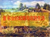 第2課 原始農(nóng)業(yè)與史前社會 七年級歷史上冊同步課件（含視頻）（統(tǒng)編版2024）