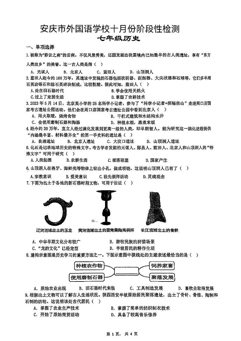 七年级历史第1页