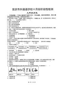 安徽省安庆市外国语学校2024-2025学年九年级上学期10月月考历史试题