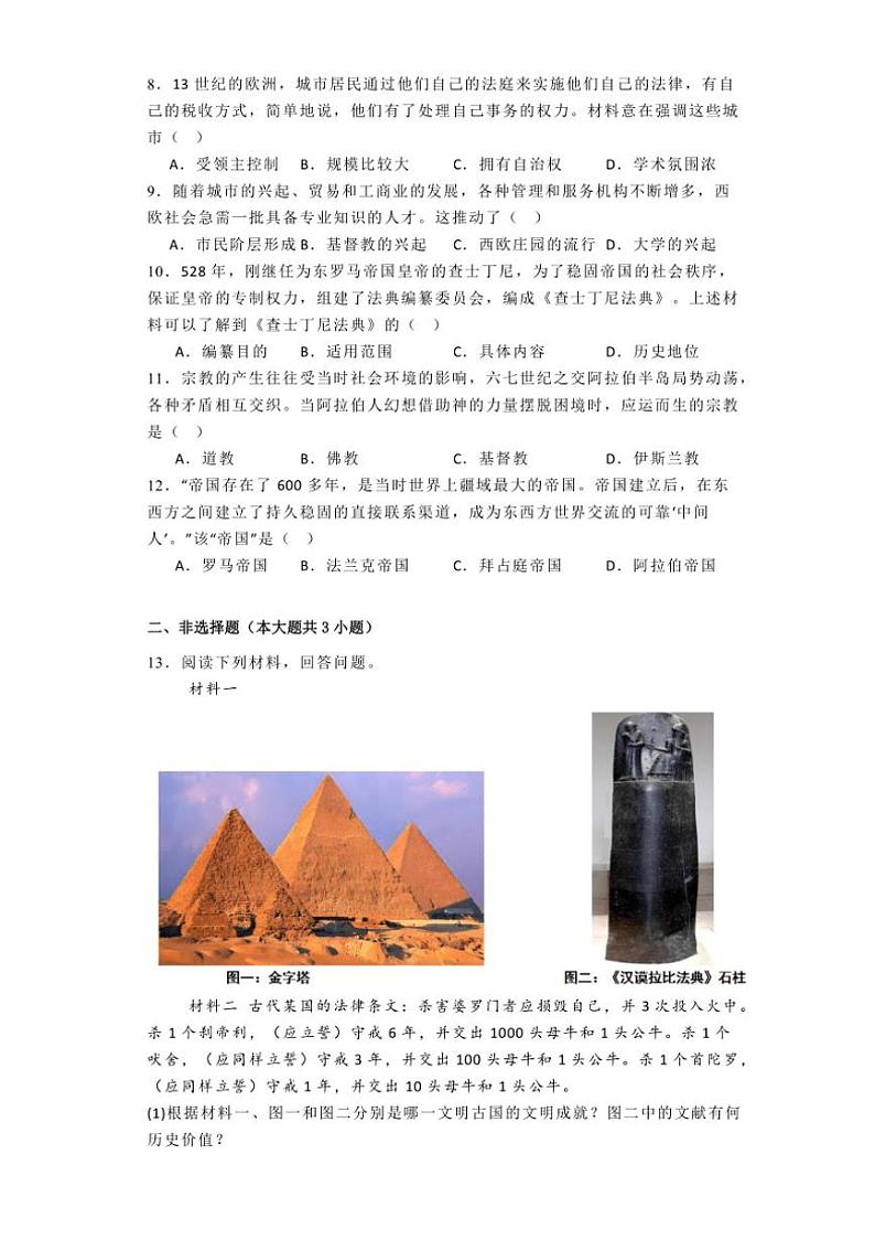 [历史]河北省邯郸市大名县2024～2025学年九年级上学期第一次月考试题(有解析)02