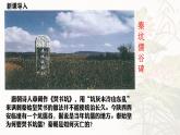 统编版七年级历史上册3.10《秦末农民大起义》（教学课件）