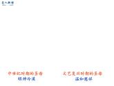 人教部编版九年级上册第14课文艺复兴运动课堂实录+课件+教学设计+教案+课后习题