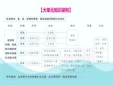 第二单元 夏商周时期：奴隶制王朝的更替和向封建社会的过渡 综述与练习  七年级历史上册素养提升课件（ 人教版2024）