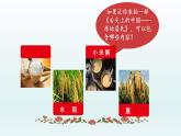 人教统编2024年版七年级历史上册第2课   原始农业与史前社会   （课件）