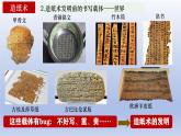 人教統(tǒng)編2024年版七年級歷史上冊第15課 秦漢時期的科技與文化  （課件）