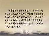 初中历史人教版八年级上册第1课 鸦片战争 课件