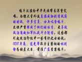 初中历史人教版八年级上册第1课 鸦片战争 课件