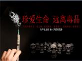 人教部编版历史八年级上册第1课 第一次鸦片战争课件