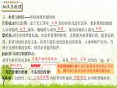 新课堂探索课件  部编版历史9年级上册 第7课 基督教的兴起和法兰克王国