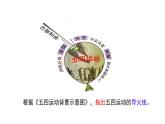 初中历史人教版八年级上册第13课 五四运动 课件