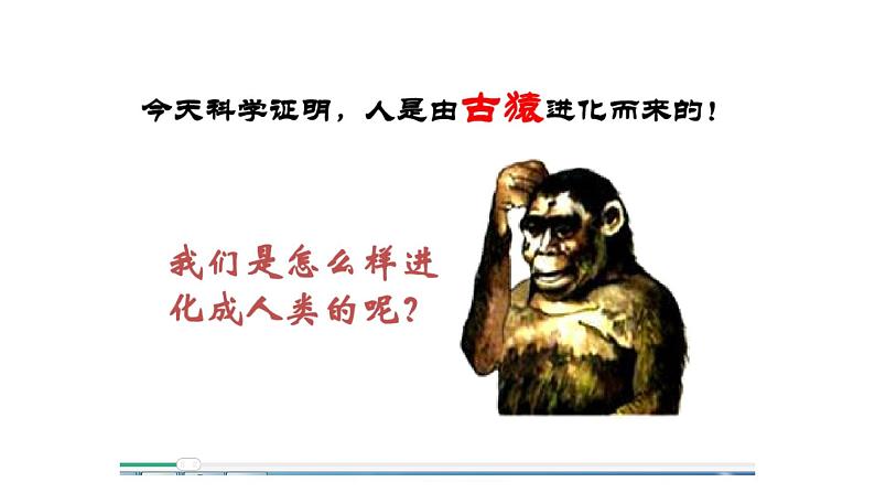 最新人教部编版七年级历史上册第一单元第一课中国早期人类的代表—北京人（课件）04