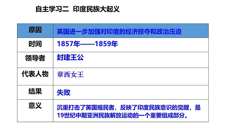 初中历史人教版九 年级下册第1课 殖民地人民的反抗斗争 课件第6页