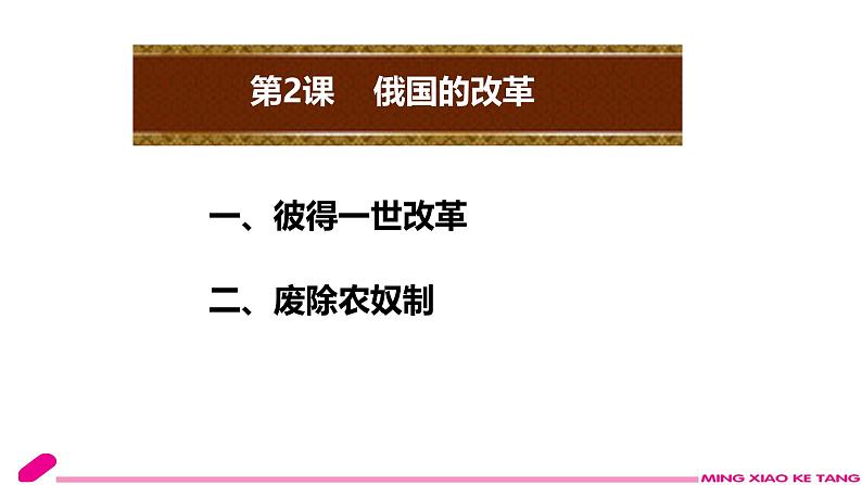 初中历史人教版九 年级下册第2课 俄国的改革 课件第3页