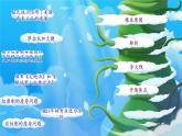 初中历史人教版九年级下册第4课 日本明治维新 课件