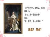初中历史人教版九年级上册第19课 法国大革命和拿破仑帝国 课件