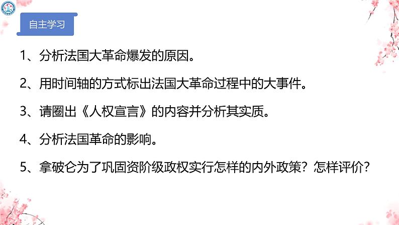 初中历史人教版九年级上册第19课 法国大革命和拿破仑帝国 课件第3页