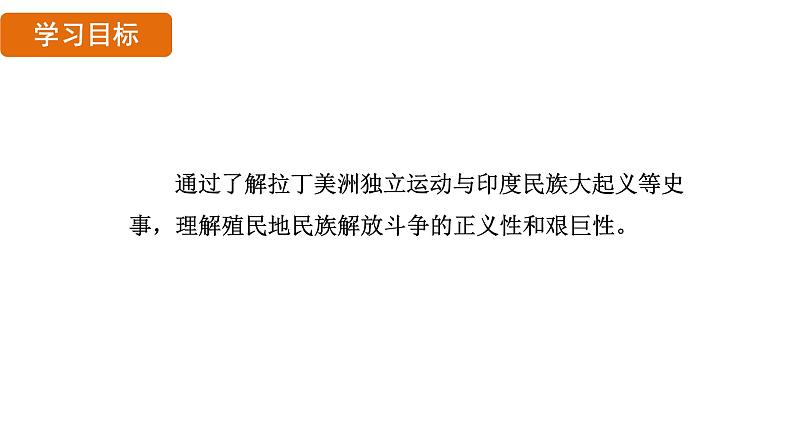 1.1 殖民地人民的反抗斗争（课件）- 2024-2025学年统编版九年级历史下册第2页