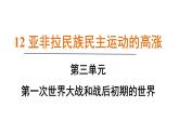 3.12 亚非拉民族民主运动的高涨（课件）- 2024-2025学年统编版九年级历史下册