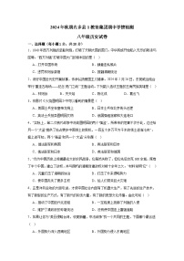 河南省南阳市内乡县第一教育集团2024-2025学年八年级上学期10月期中历史试题