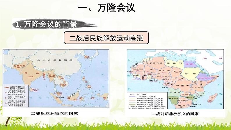 初中历史人教版九年级下册第19课 亚非拉国家的新发展 课件第4页