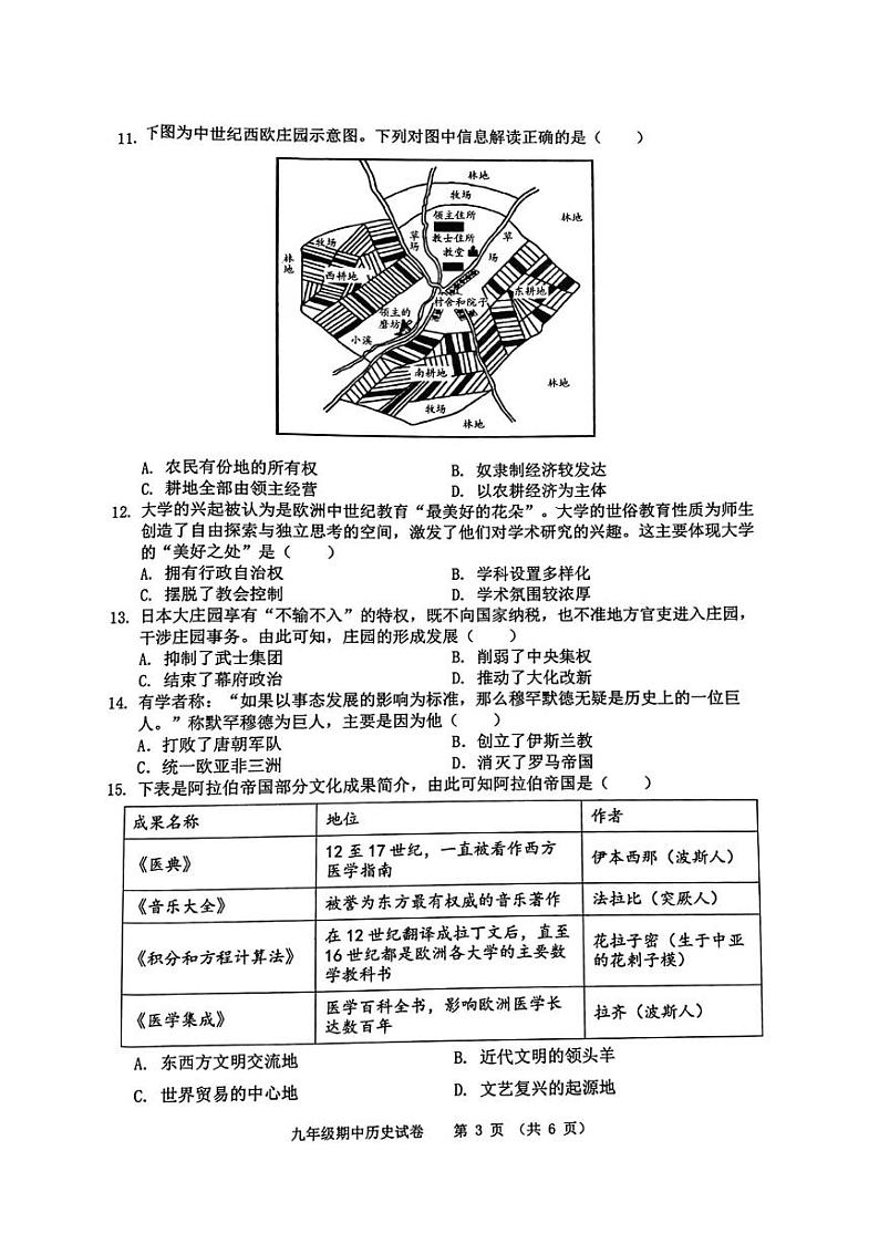安徽省芜湖市2024-2025学年部编版九年级历史上学期期中考试卷03