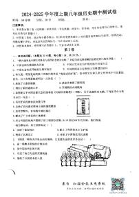 河南省驻马店市驿城区2024-2025学年八年级上学期11月期中历史试题