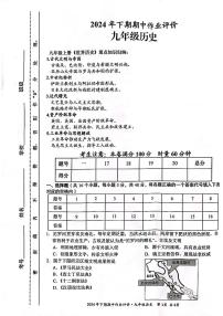 湖南省永州市宁远县2024-2025学年九年级上学期11月期中历史试题