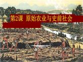 部编 2024版历史七年级上册第2课原始农业与史前社会【课件】