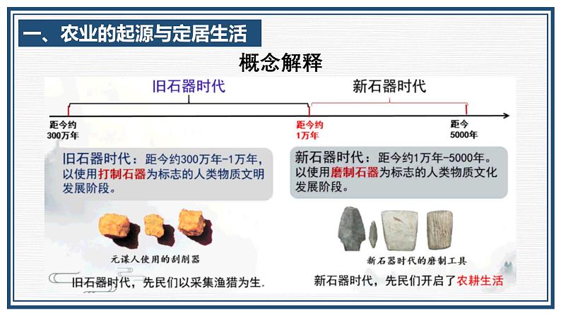 部编 2024版历史七年级上册第2课原始农业与史前社会【课件】第3页