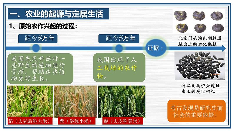 部编 2024版历史七年级上册第2课原始农业与史前社会【课件】第5页