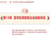 3.12 亚非拉民族民主运动的高涨 课件 2024-2025学年统编版九年级历史下册