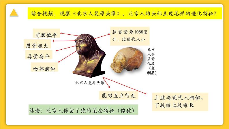 1.1远古时期的人类活动第8页