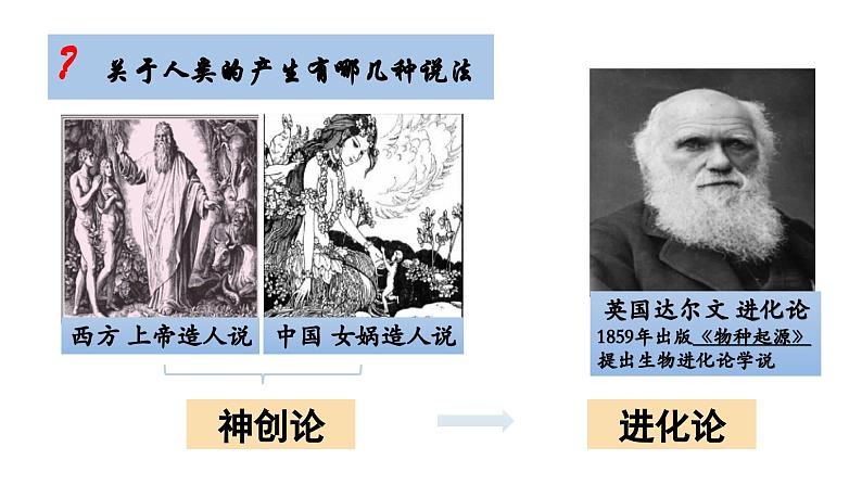 部编 2024版历史七年级上册第1课远古时期的人类活动【课件】第2页