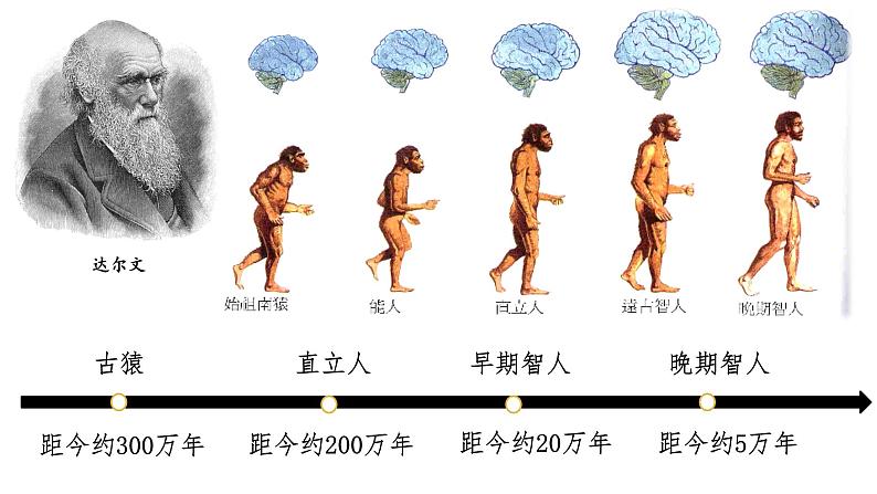 部编 2024版历史七年级上册第1课远古时期的人类活动【课件】第4页