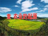 部编 2024版历史七年级上册第2课原始农业与史前社会【课件】