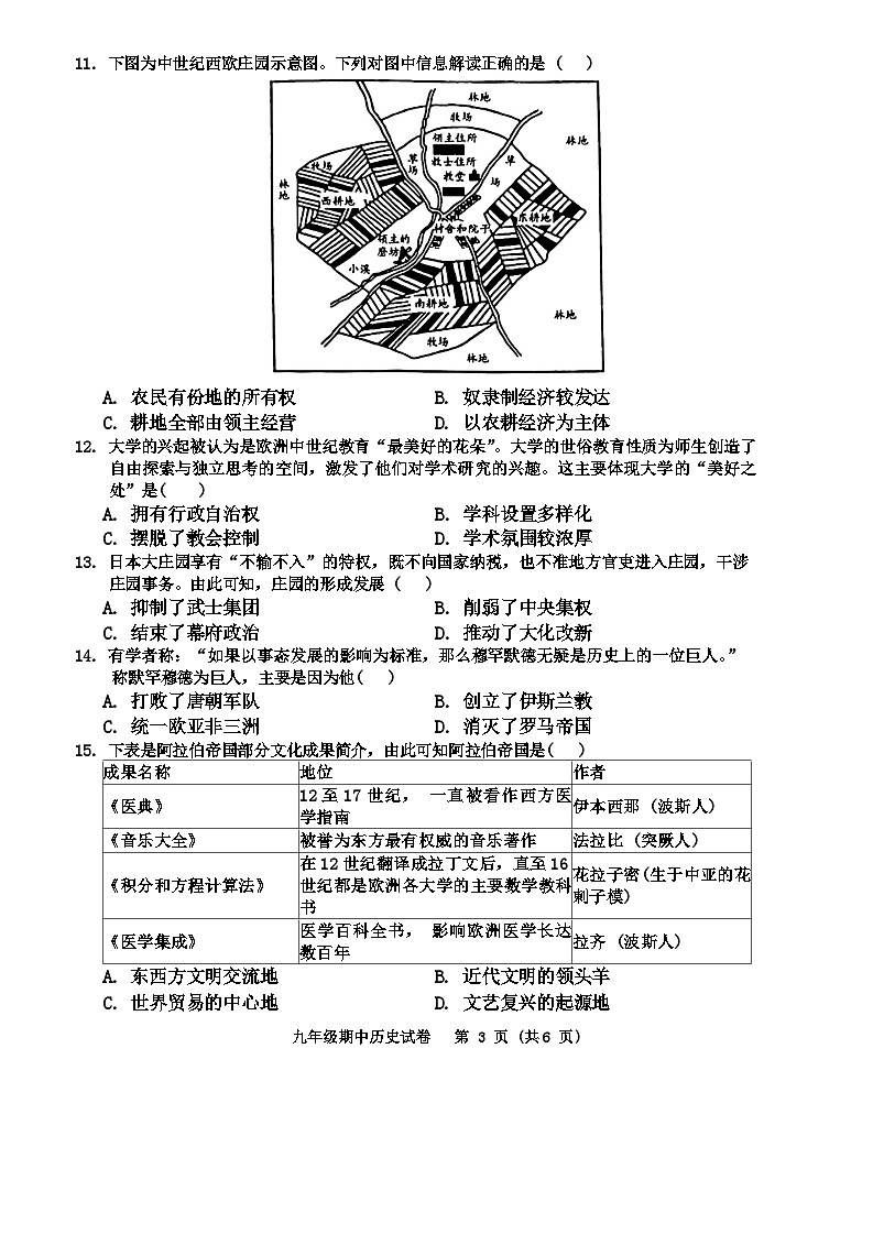 安徽省芜湖市2024-2025学年部编版九年级上学期期中历史试卷03
