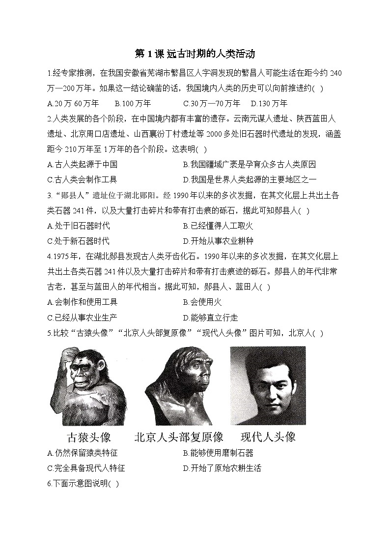 第1课_远古时期的人类活动【同步练习】第1页