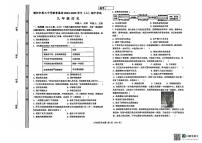 河南省濮阳市第三中学教育集团2024-2025学年九年级上学期期中历史试题