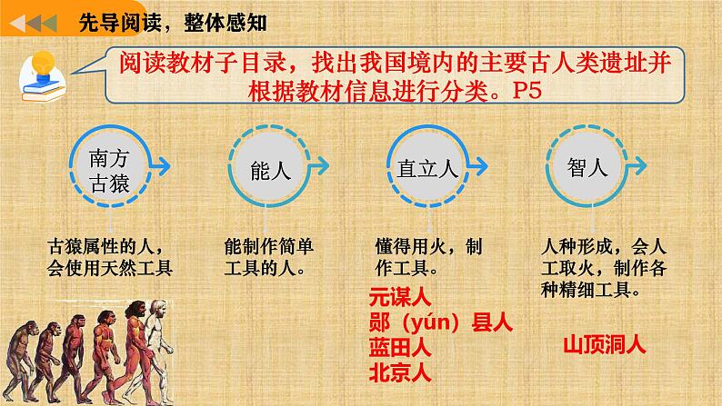 部编 2024版历史七年级上册第一单元第1课远古时期的人类活动【课件】第5页