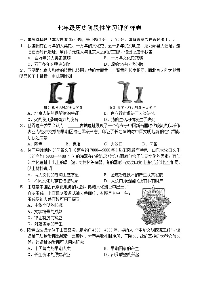 七年级历史期中试卷第1页