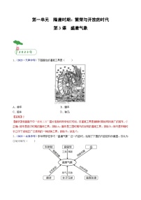 2025年中考历史一轮复习练习七下第3课 盛唐气象（解析版）