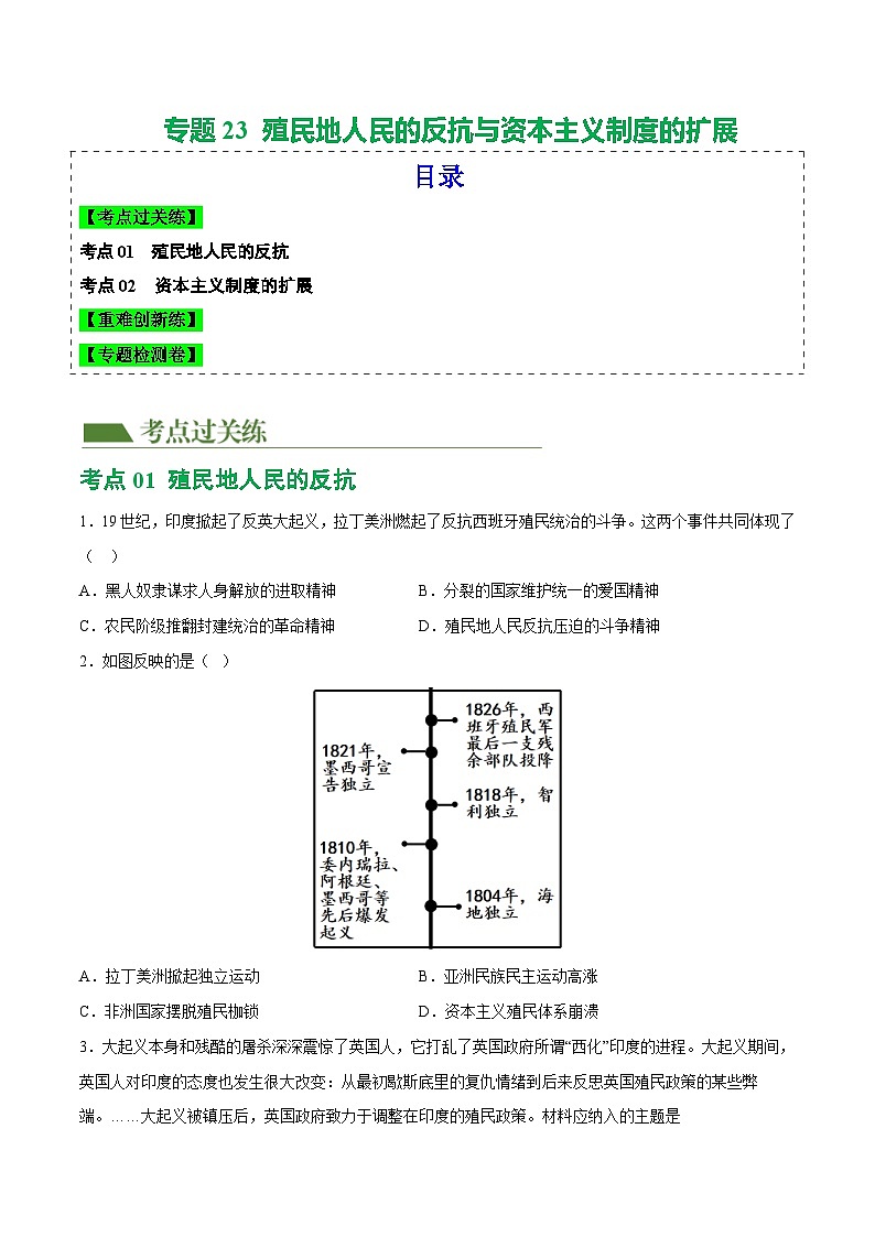 2025年中考历史一轮复习（练习）专题23  殖民地人民的反抗与资本主义制度的扩展（解析版）01