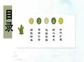 （部编版）中考历史一轮复习考点练习课件专题21 科技文化与社会生活（含答案）