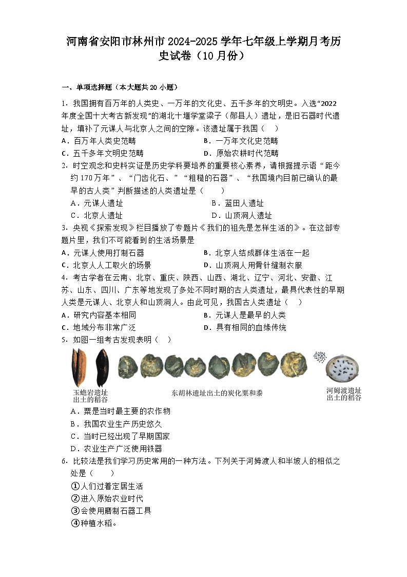 河南省安阳市林州市2024-2025学年七年级上学期月考历史试卷（10月份）第1页