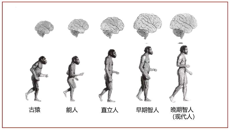 1.1远古时期的人类活动课件 2024_2025学年统编版七年级历史上册第6页