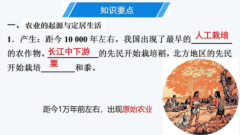 1.2  原始农业与史前社会课件 2024-2025学年统编版七年级历史上学期第3页