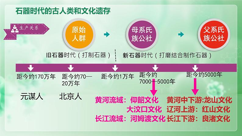 1.2  原始农业与史前社会课件 2024-2025学年统编版七年级历史上学期第5页