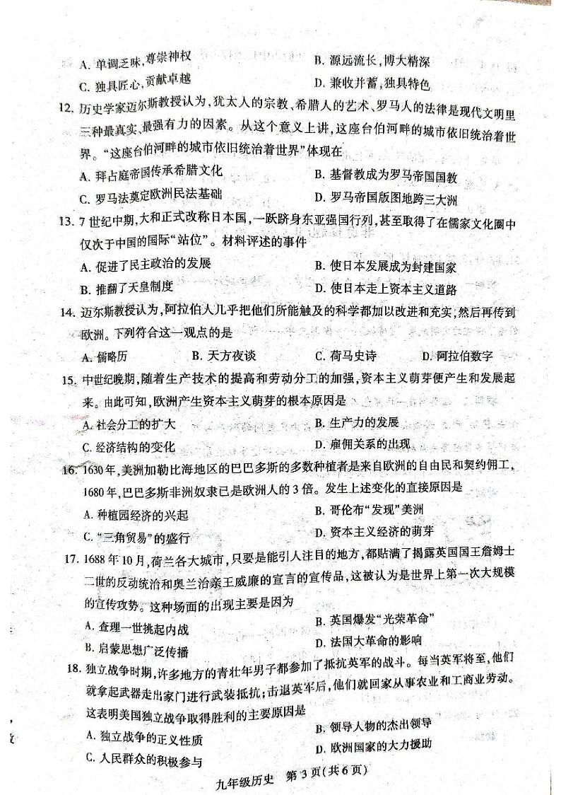 河南省平顶山市叶县2024-2025学年九年级上学期11月期中历史试题第3页